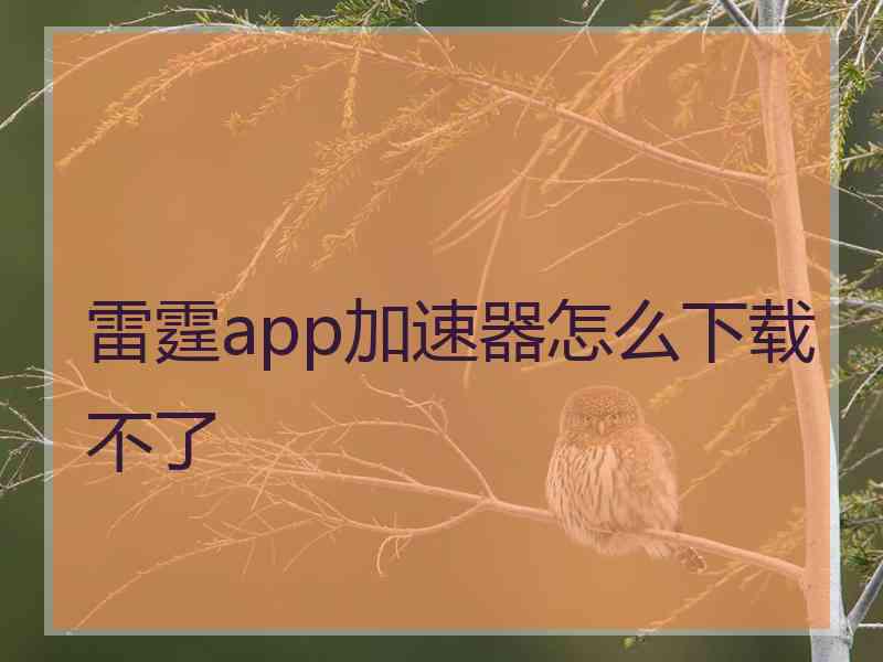 雷霆app加速器怎么下载不了