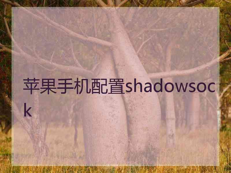 苹果手机配置shadowsock