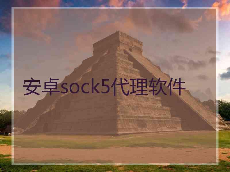 安卓sock5代理软件