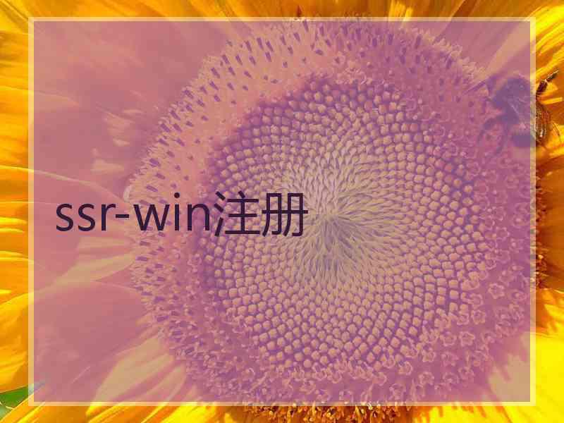 ssr-win注册