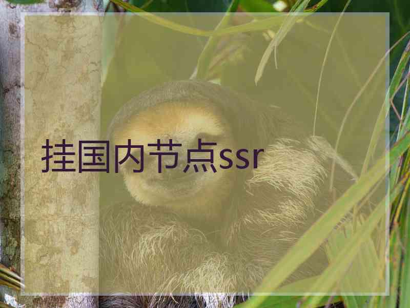 挂国内节点ssr