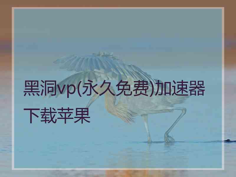 黑洞vp(永久免费)加速器下载苹果