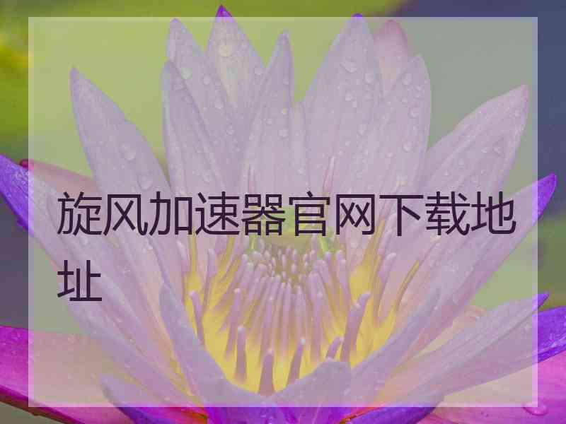 旋风加速器官网下载地址