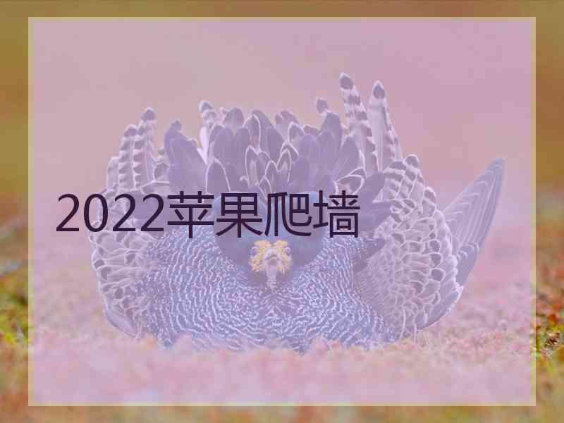 2022苹果爬墙