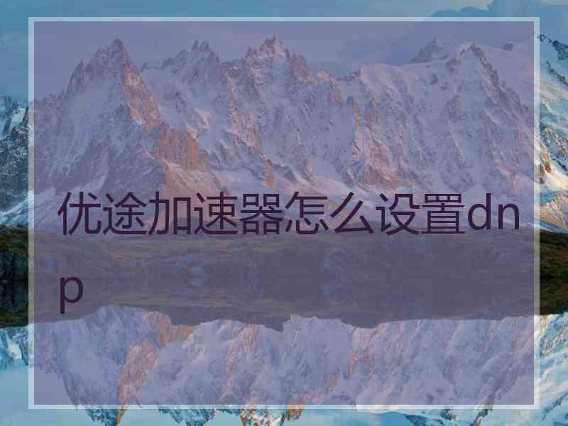 优途加速器怎么设置dnp