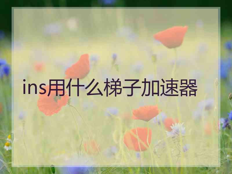 ins用什么梯子加速器