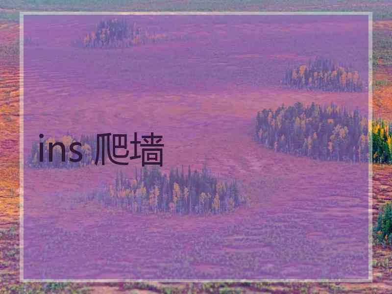 ins 爬墙