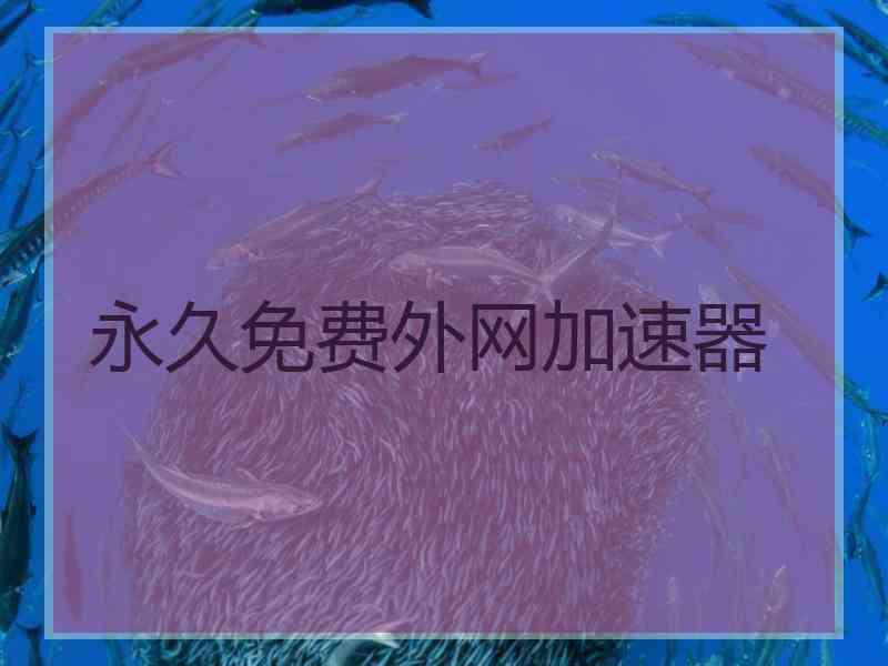 永久免费外网加速器