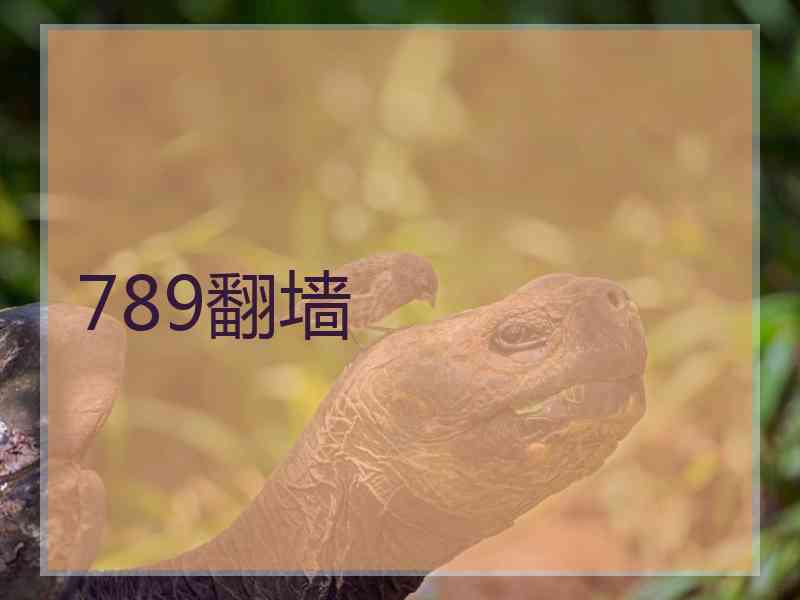 789翻墙
