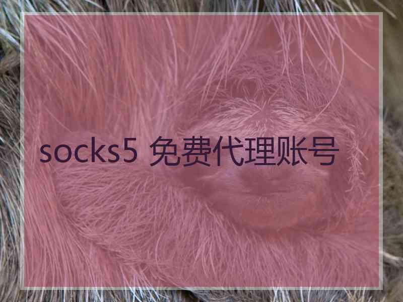 socks5 免费代理账号