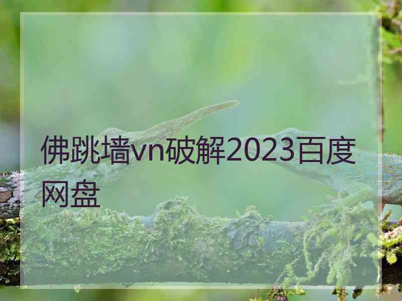 佛跳墙vn破解2023百度网盘