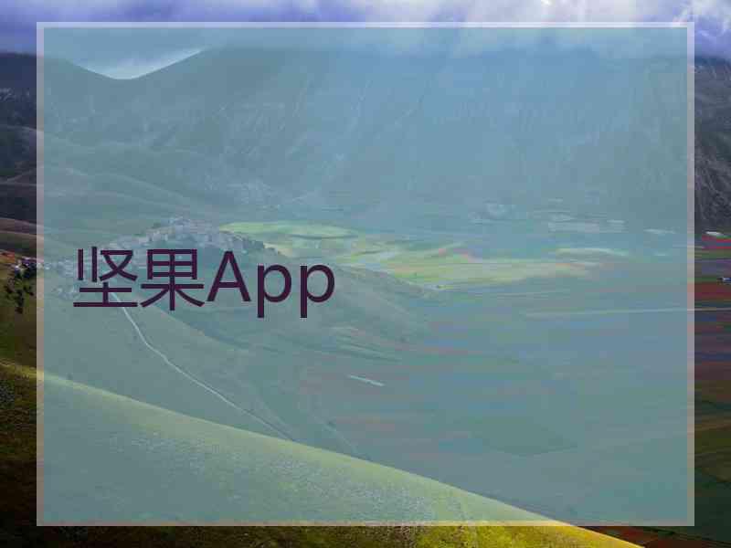 坚果App