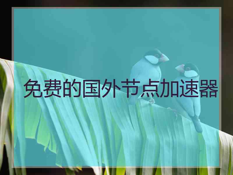 免费的国外节点加速器