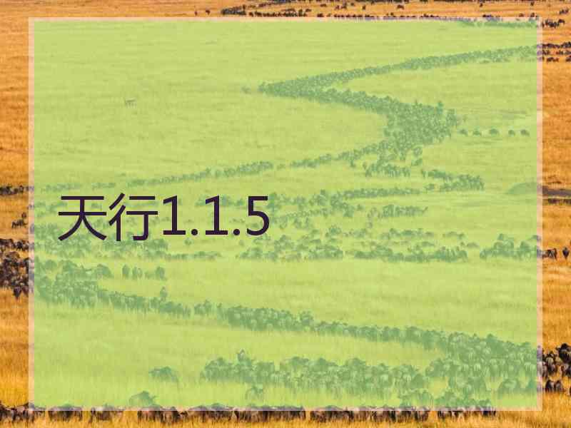 天行1.1.5
