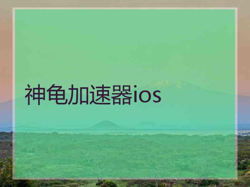 神龟加速器ios