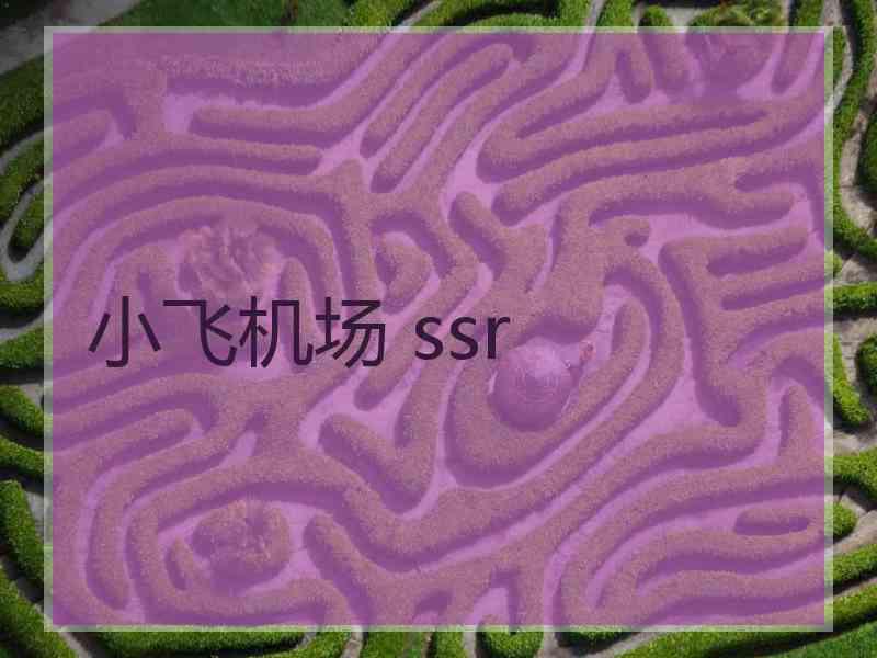 小飞机场 ssr