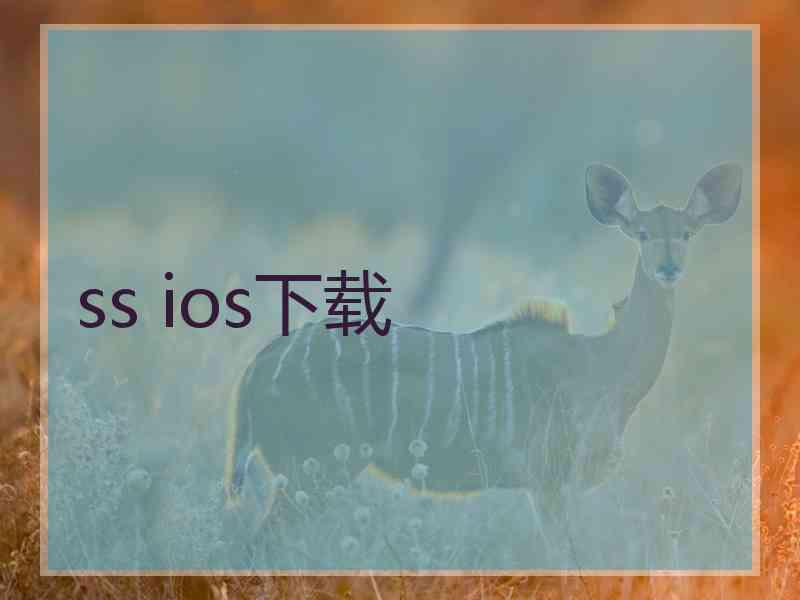 ss ios下载