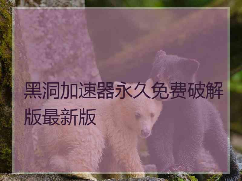 黑洞加速器永久免费破解版最新版