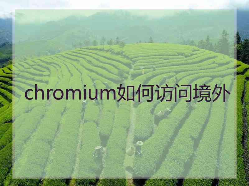chromium如何访问境外