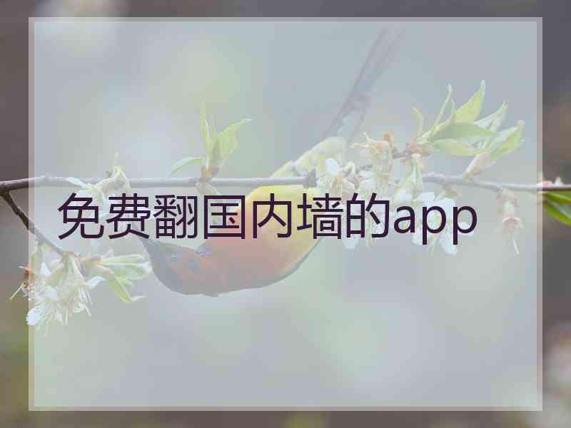 免费翻国内墙的app