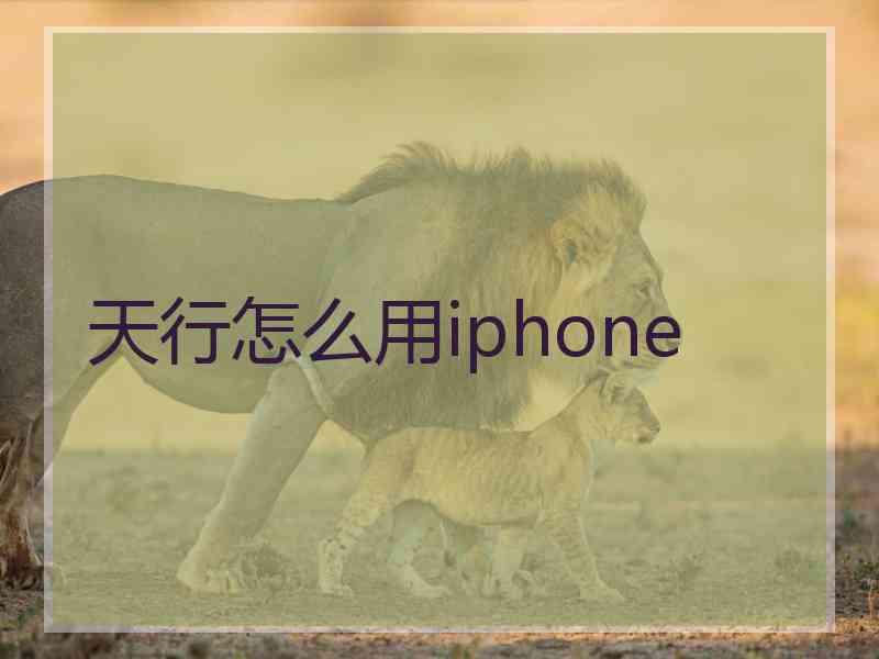 天行怎么用iphone