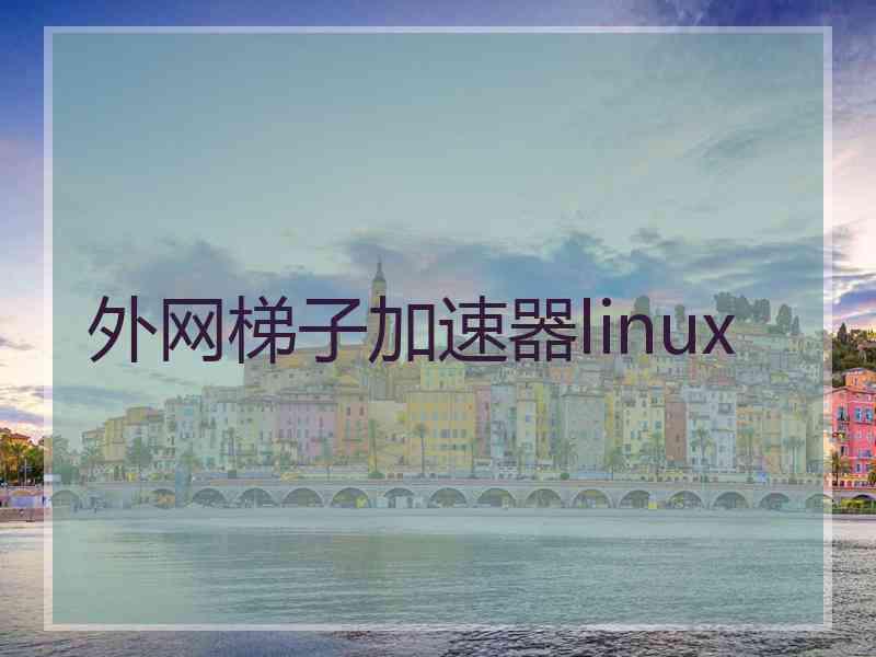 外网梯子加速器linux