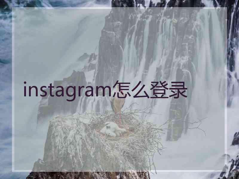 instagram怎么登录