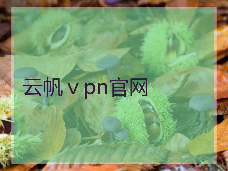 云帆ⅴpn官网