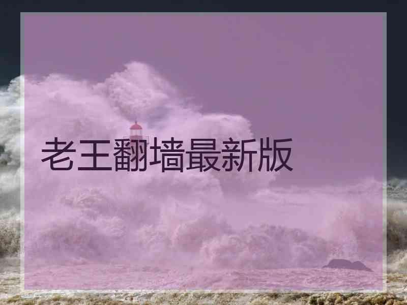 老王翻墙最新版