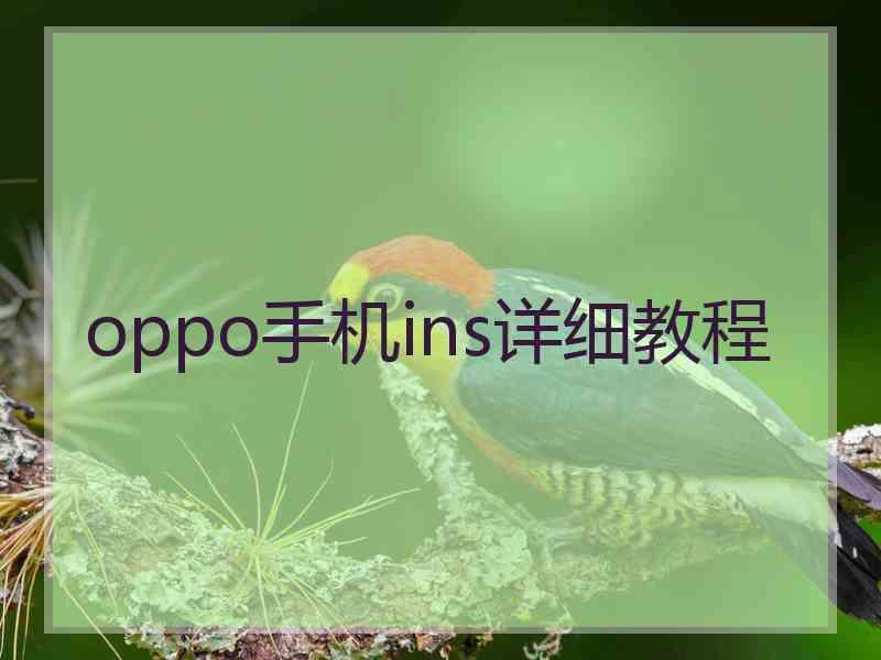 oppo手机ins详细教程