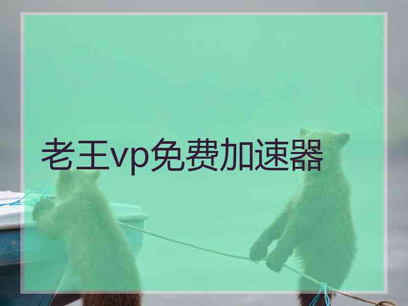 老王vp免费加速器