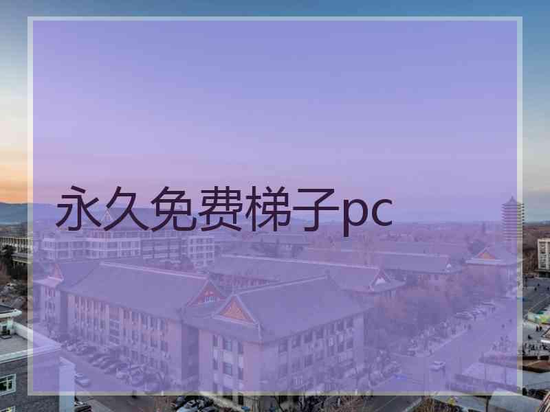 永久免费梯子pc