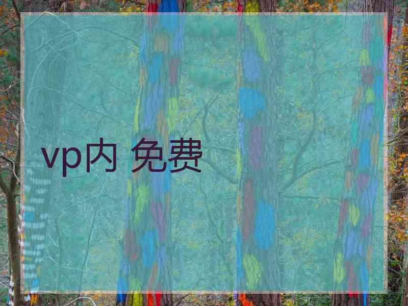 vp内 免费