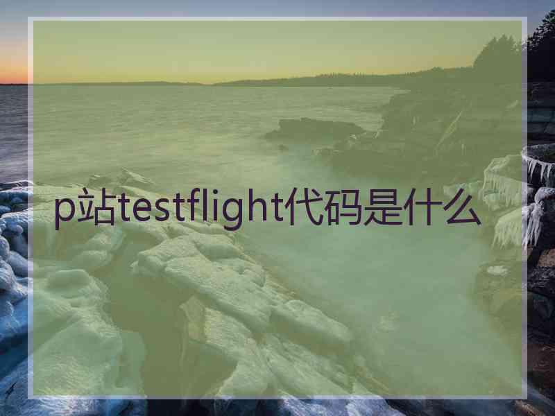 p站testflight代码是什么