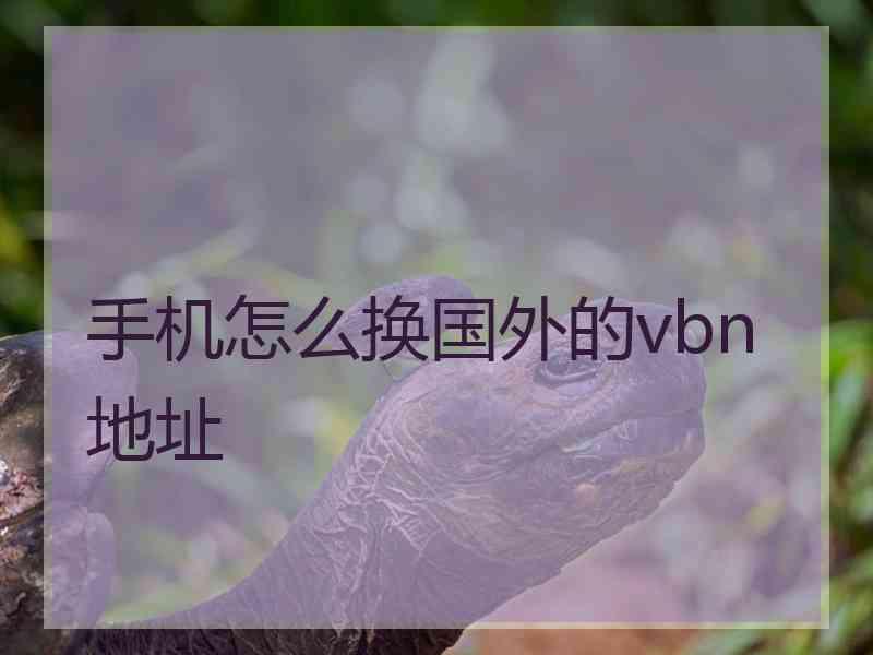 手机怎么换国外的vbn地址