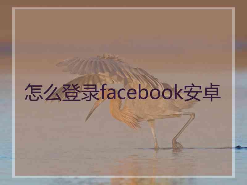 怎么登录facebook安卓