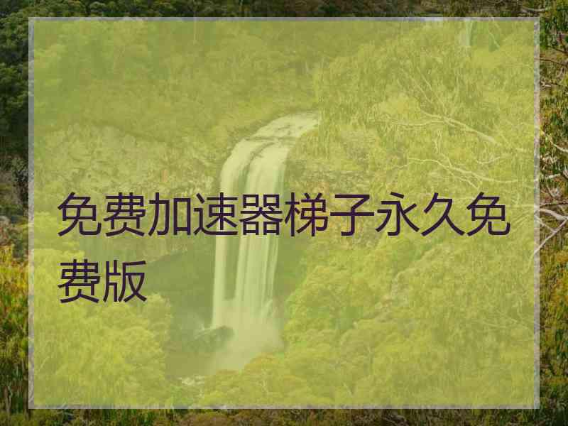 免费加速器梯子永久免费版