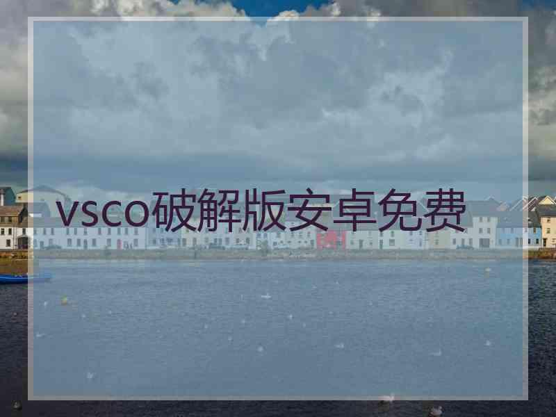 vsco破解版安卓免费