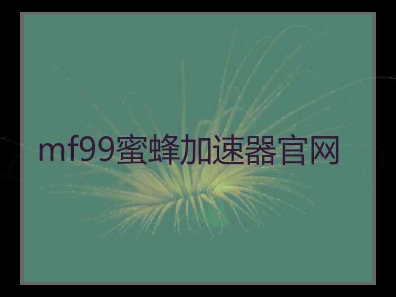 mf99蜜蜂加速器官网