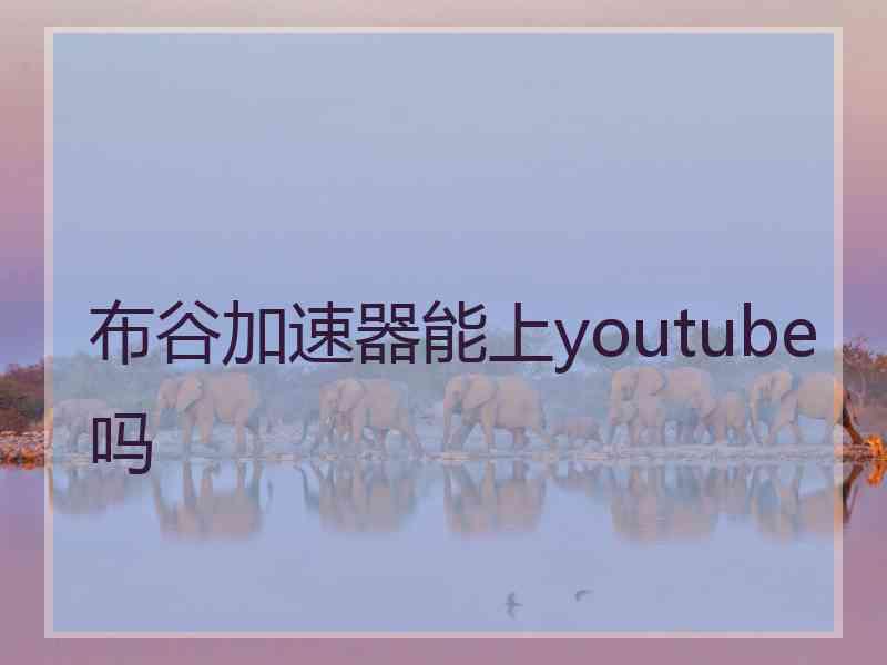 布谷加速器能上youtube吗