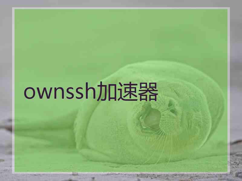 ownssh加速器