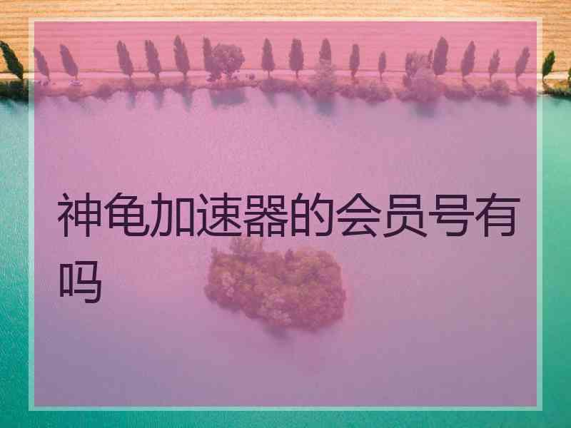 神龟加速器的会员号有吗