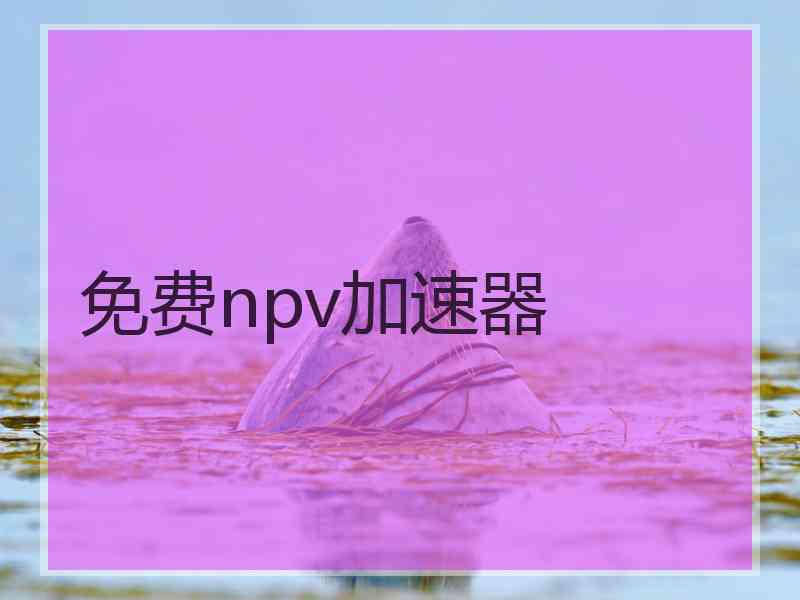 免费npv加速器