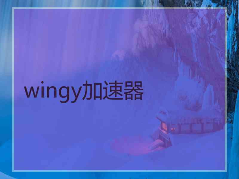wingy加速器