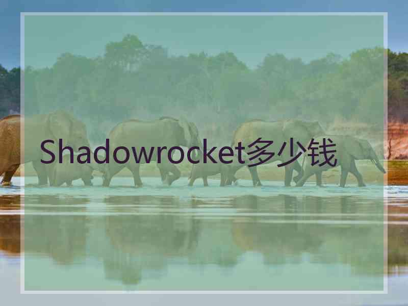 Shadowrocket多少钱