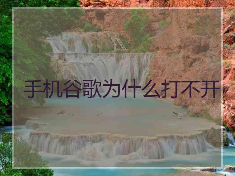 手机谷歌为什么打不开