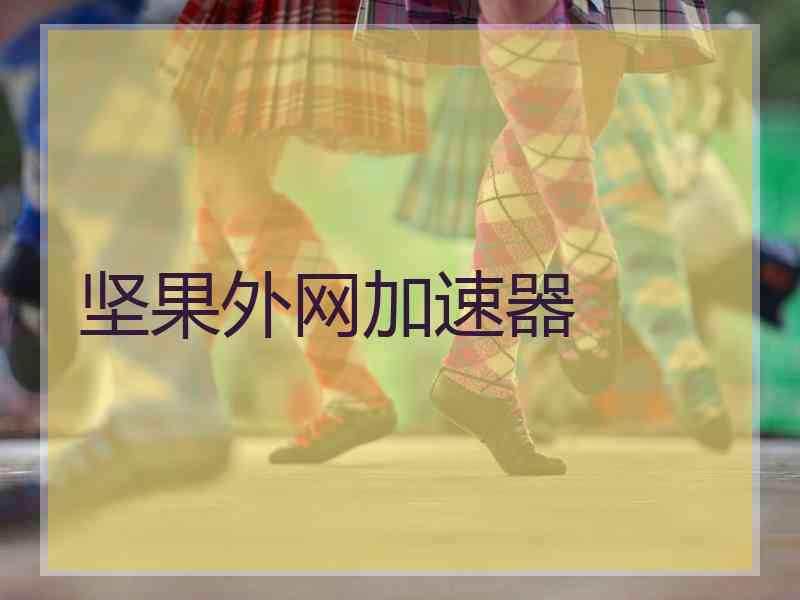 坚果外网加速器