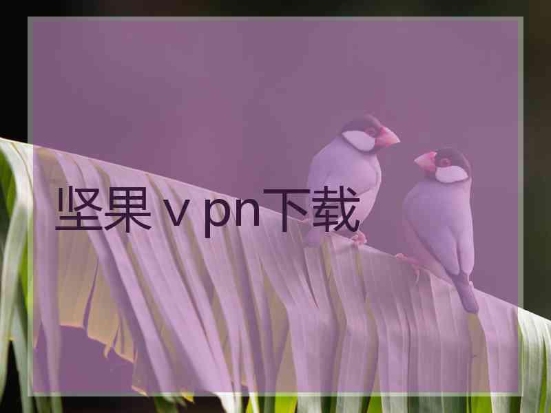 坚果ⅴpn下载