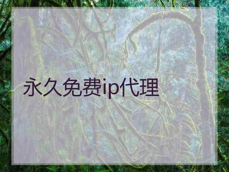 永久免费ip代理