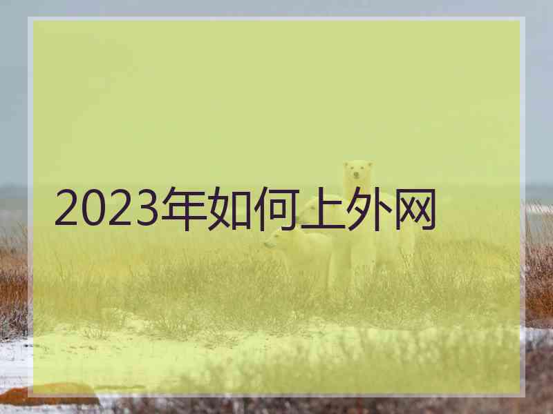 2023年如何上外网